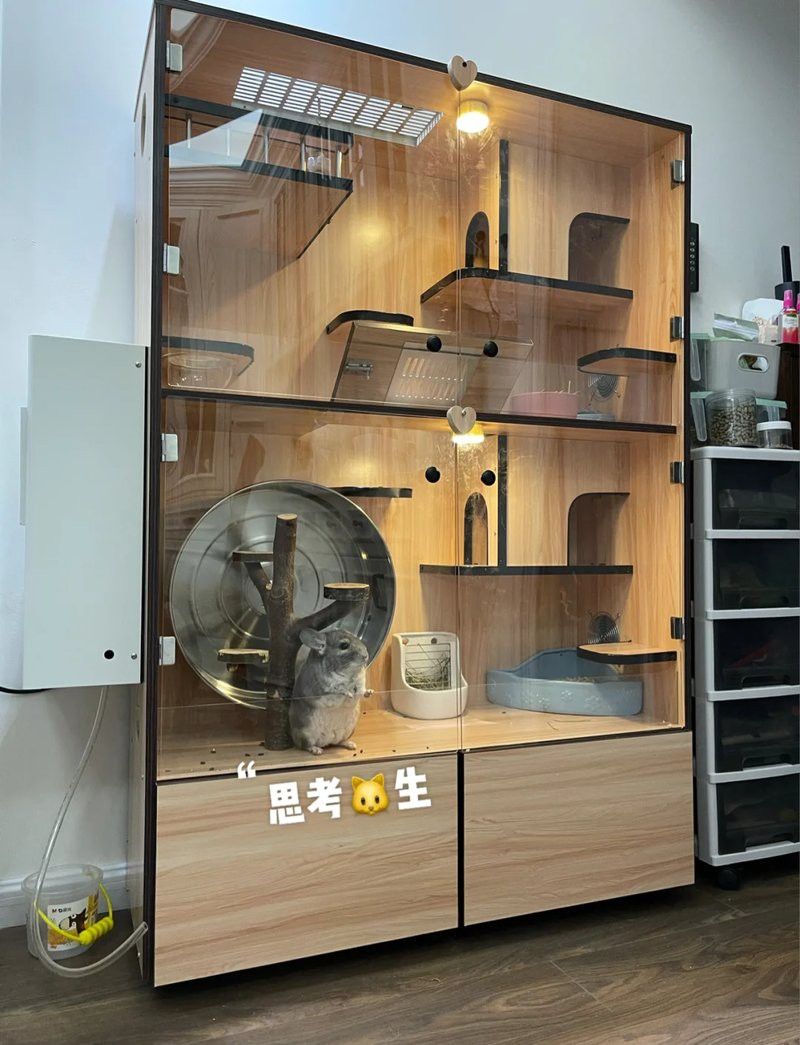 龍貓籠子多高合適？