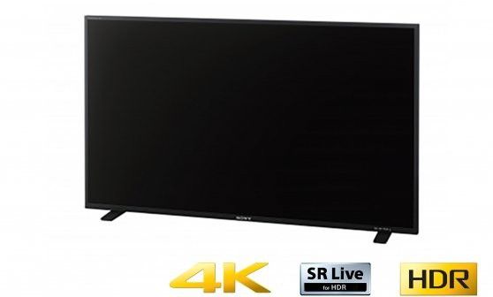 如何區分帝龍R-X300和R-X550？