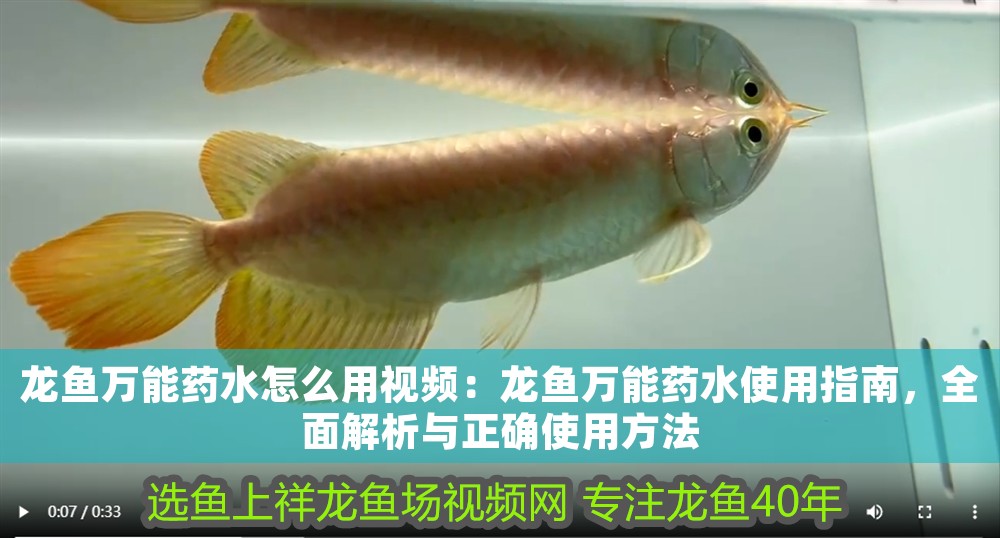 龍魚(yú)萬(wàn)能藥水怎么用視頻：龍魚(yú)萬(wàn)能藥水使用指南，全面解析與正確使用方法