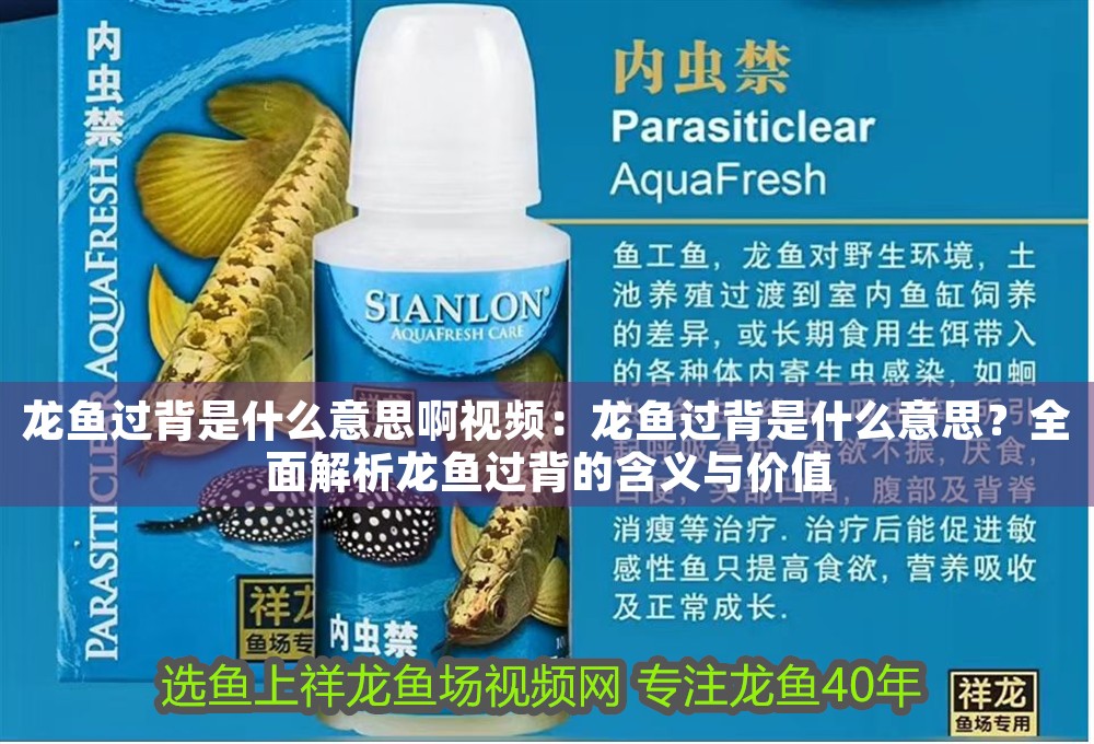 龍魚過背是什么意思啊視頻：龍魚過背是什么意思？全面解析龍魚過背的含義與價值