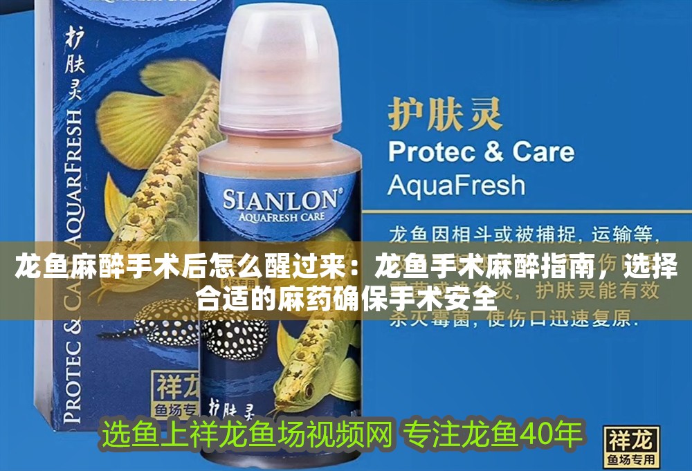 龍魚麻醉手術后怎么醒過來：龍魚手術麻醉指南，選擇合適的麻藥確保手術安全