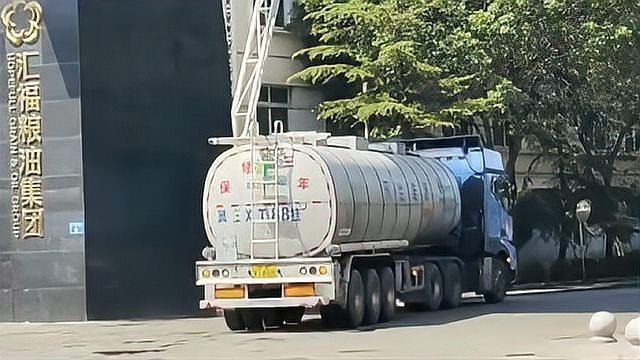 金龍魚的品牌歷史是怎樣的？