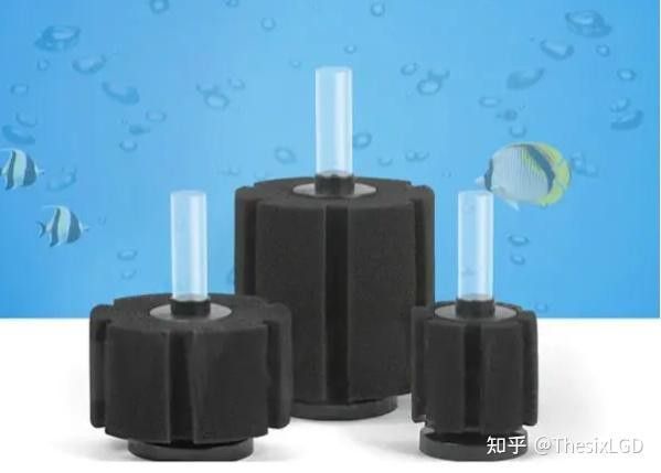 水妖精過濾適合哪些龍缸？