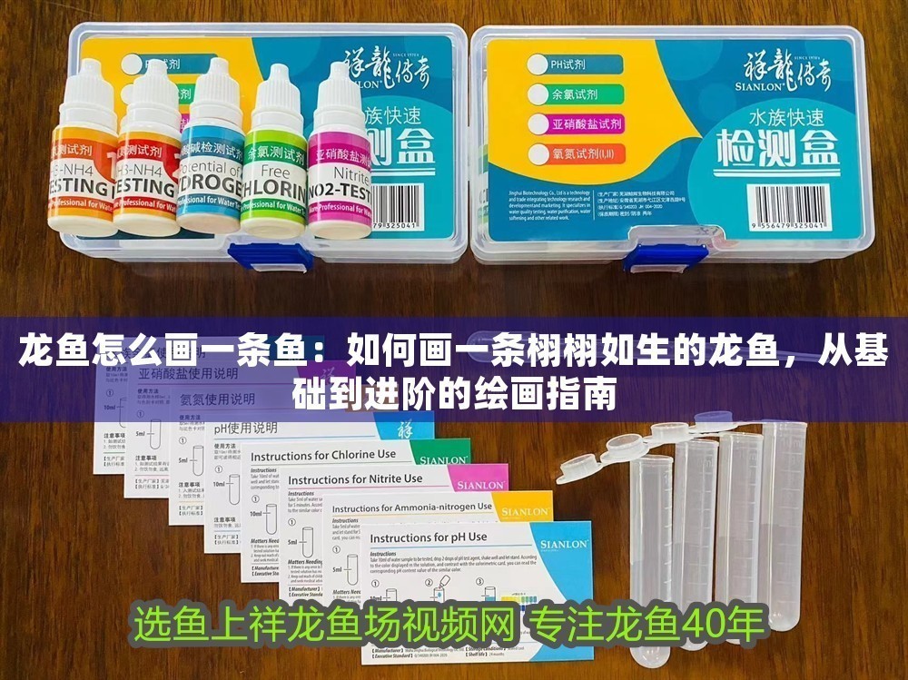 龍魚怎么畫一條魚：如何畫一條栩栩如生的龍魚，從基礎到進階的繪畫指南