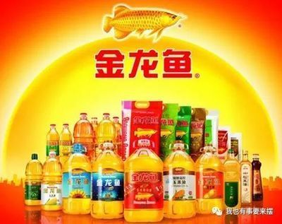 金龍魚行業地位高嗎（金龍魚品牌歷史沿革） 金龍魚行業地位高嗎（金龍魚品牌歷史沿革） 龍魚百科 第3張