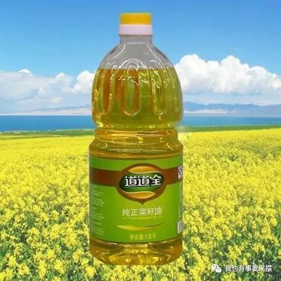 金龍魚行業地位高嗎（金龍魚品牌歷史沿革） 金龍魚行業地位高嗎（金龍魚品牌歷史沿革） 龍魚百科 第4張