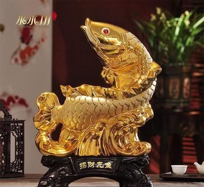 辦公室養龍魚幾條比較好