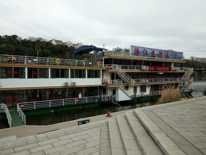 綿陽涪江龍魚港 龍魚百科 第3張 綿陽涪江龍魚港 綿陽涪江龍魚港 龍魚百科 第3張