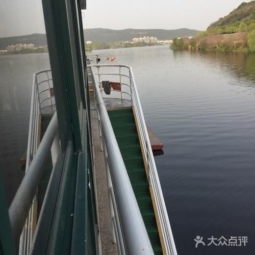 綿陽涪江龍魚港 龍魚百科 第5張 綿陽涪江龍魚港 綿陽涪江龍魚港 龍魚百科 第5張