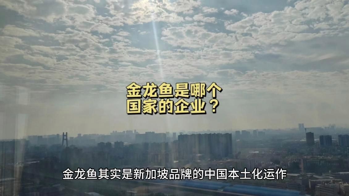 金龍魚品牌商