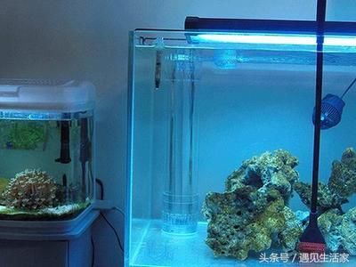 龍魚缸水質(zhì)怎么檢測：魚缸水質(zhì)檢測工具龍魚缸水質(zhì)檢測工具龍魚缸水質(zhì)檢測方法
