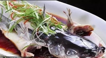 龍魚吃青菜嗎有營養(yǎng)嗎:龍魚可以吃青菜嗎有營養(yǎng)嗎龍魚吃青菜有營養(yǎng)嗎 龍魚百科 第1張 龍魚吃青菜嗎有營養(yǎng)嗎:龍魚可以吃青菜嗎有營養(yǎng)嗎龍魚吃青菜有營養(yǎng)嗎 龍魚吃青菜嗎有營養(yǎng)嗎:龍魚可以吃青菜嗎有營養(yǎng)嗎龍魚吃青菜有營養(yǎng)嗎 龍魚百科 第1張