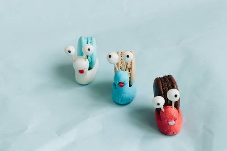 龍魚(yú)是否吃蝸牛（龍魚(yú)可以吃蝸牛嗎，） 龍魚(yú)是否吃蝸牛（龍魚(yú)可以吃蝸牛嗎，） 龍魚(yú)百科 第4張