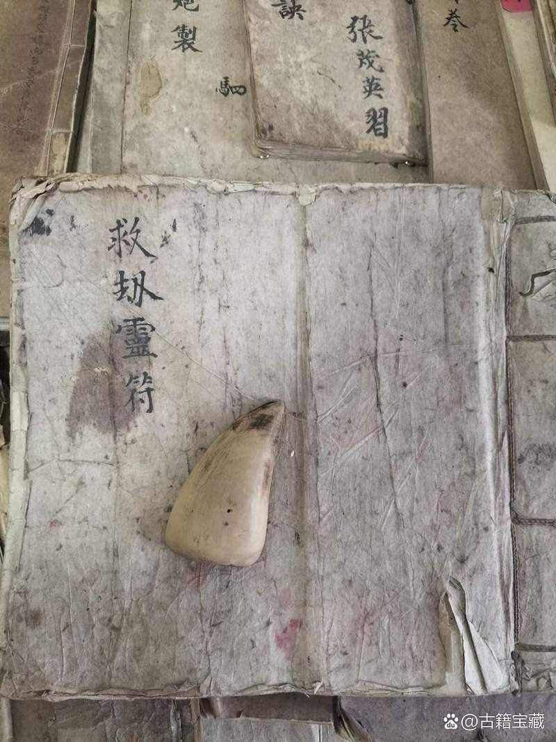 青龍符的風水作用 青龍符的風水作用 龍魚百科 第7張