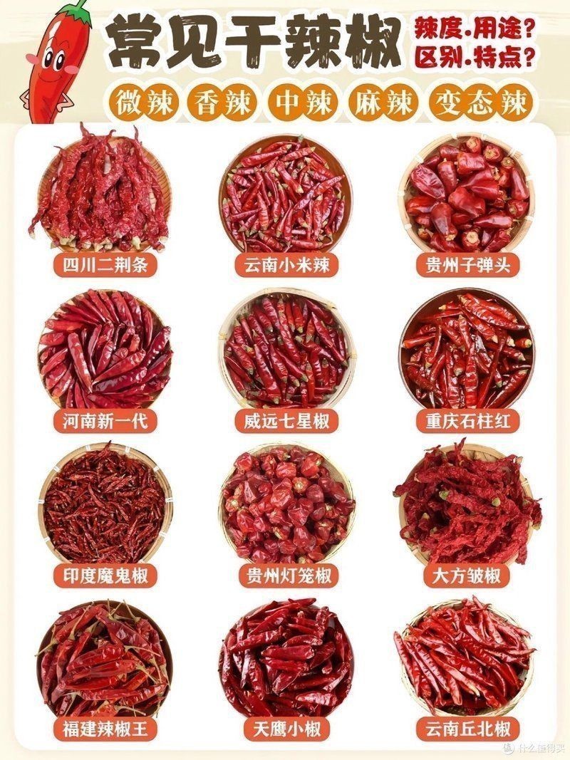 綠皮辣椒小紅龍屬于什么檔次