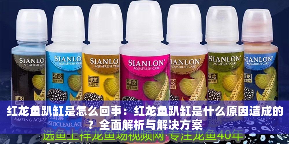 紅龍魚趴缸是怎么回事:紅龍魚趴缸是什么原因造成的?全面解析與解決方案 龍魚百科 第1張 紅龍魚趴缸是怎么回事:紅龍魚趴缸是什么原因造成的?全面解析與解決方案 紅龍魚趴缸是怎么回事:紅龍魚趴缸是什么原因造成的?全面解析與解決方案 龍魚百科 第1張