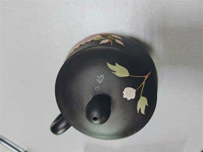 做夢夢到一條青黑色的金龍魚什么意思（周公解夢：夢見青黑色的金龍魚，代表著什么？）