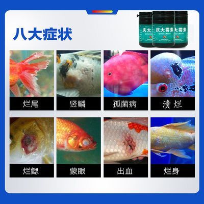 金龍魚白點病怎么治療：金龍魚白點病怎么治療金龍魚白點病怎么治療 金龍魚白點病怎么治療：金龍魚白點病怎么治療金龍魚白點病怎么治療 龍魚百科 第1張