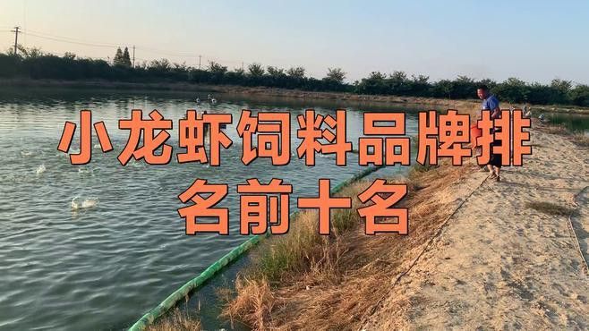 有哪些品牌飼料適合龍魚爬背？ 有哪些品牌飼料適合龍魚爬背？ 龍魚百科 第6張