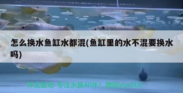 魚缸增氧機(jī)怎么做（魚缸增氧機(jī)多少錢一臺）