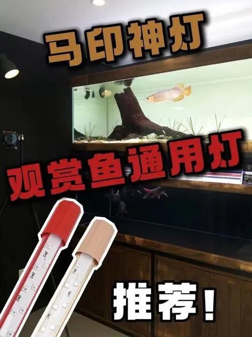 馬印水族增艷燈最新款價格表和圖片