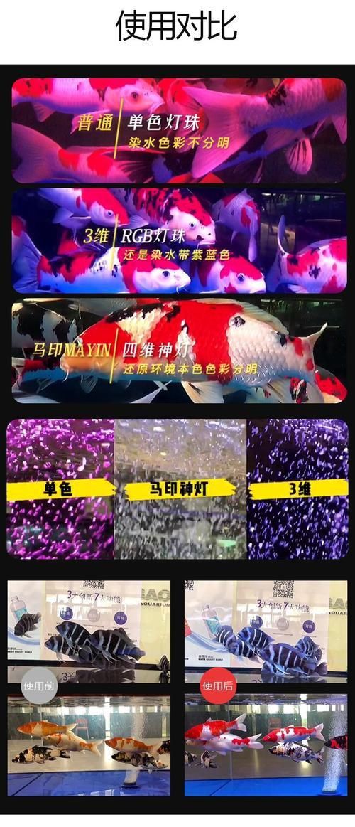 馬印水族增艷燈最新款價格表和圖片