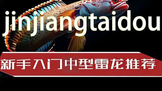哪種品牌的雷龍魚缸最好？