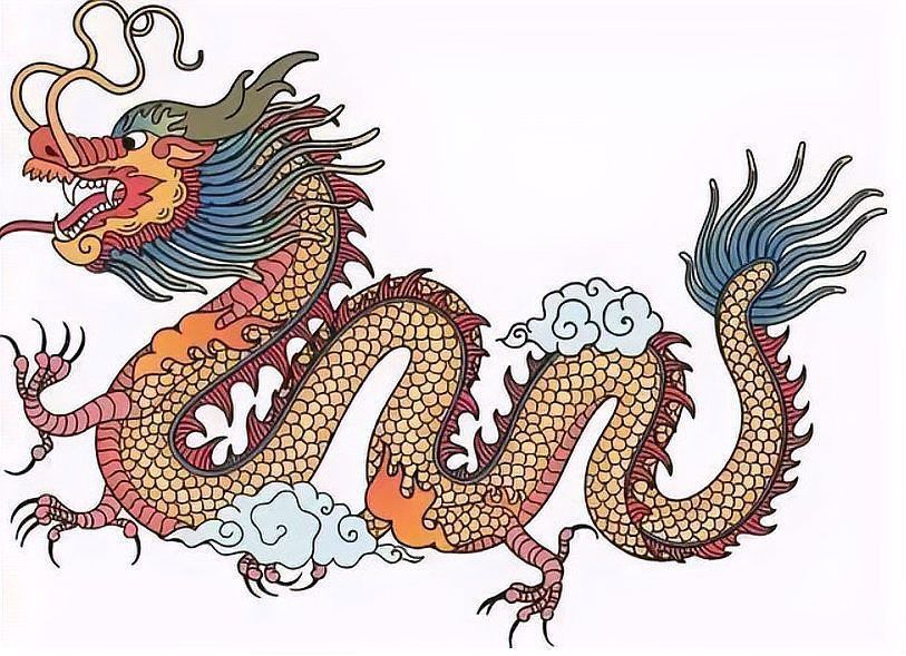 蛇,蟒,蚺,蛟,龍
