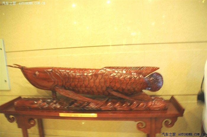 金龍魚會所指劃：金龍魚會所指劃“金龍魚會所”的具體地點或服務內容