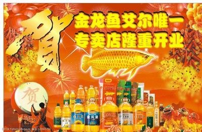 搜索金龍魚的全屏照片怎么搜：怎么搜索金龍魚的全屏照片