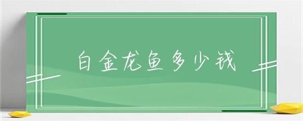 龍魚眼上有一道白是什么：龍魚眼睛上出現白線可能由多種原因引起，如何判斷龍魚健康狀況