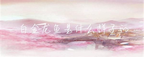 龍魚眼上有一道白是什么：龍魚眼睛上出現白線可能由多種原因引起，如何判斷龍魚健康狀況