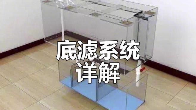 推薦幾款適合養60公分紅龍魚的魚缸