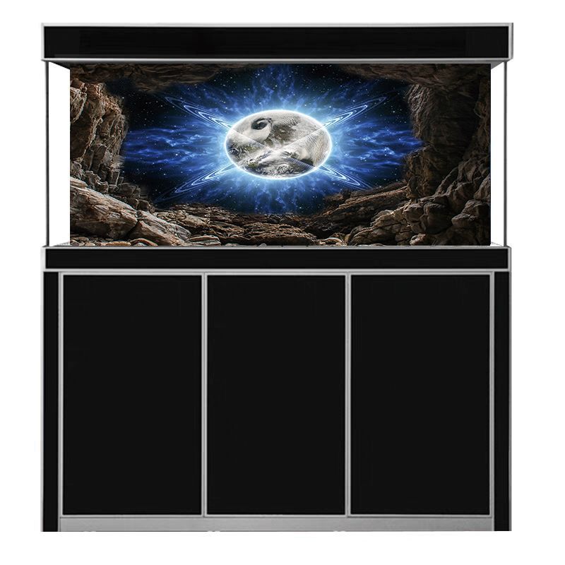 龍魚買多大的合適（養殖龍魚需要注意以下幾點龍魚魚缸尺寸至關重要）