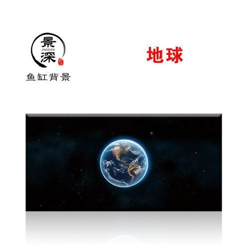 紅龍魚缸背景紙材質如何選擇？