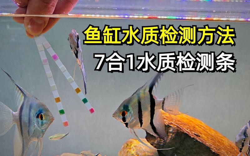 如何測試金龍魚缸中的pH值？