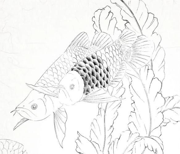 播放金龍魚簡筆畫