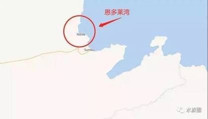 坦湖水質特點及維護方法：坦湖水質維護常見誤區,坦湖魚缸布置技巧分享
