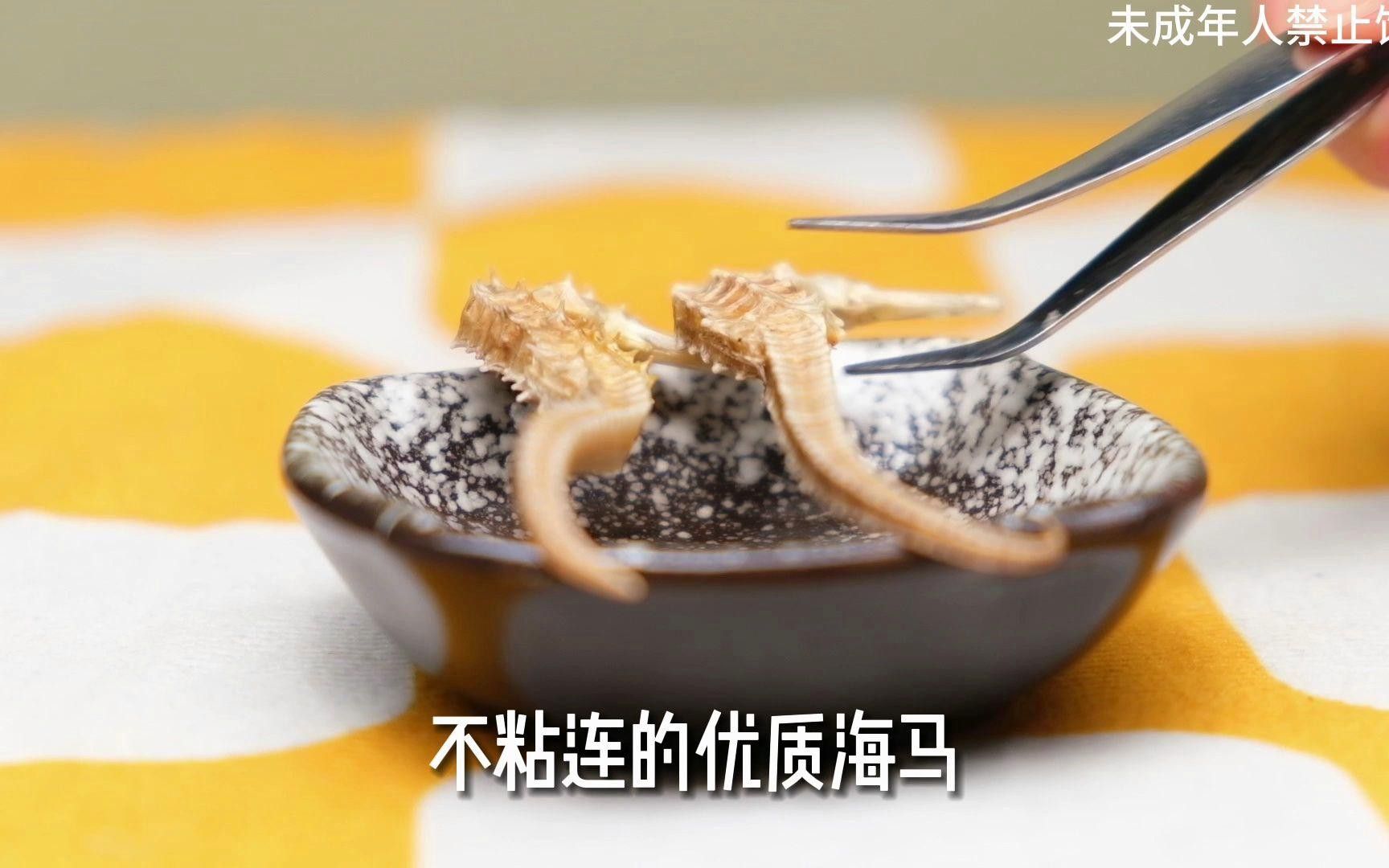 海龍和海馬如何搭配使用？