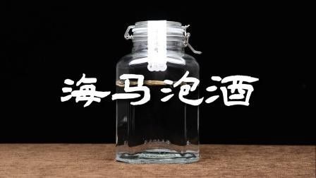 海龍和海馬如何搭配使用？