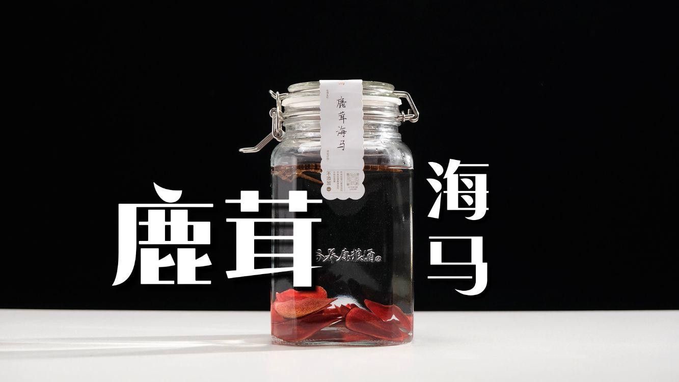 海龍和海馬如何搭配使用？