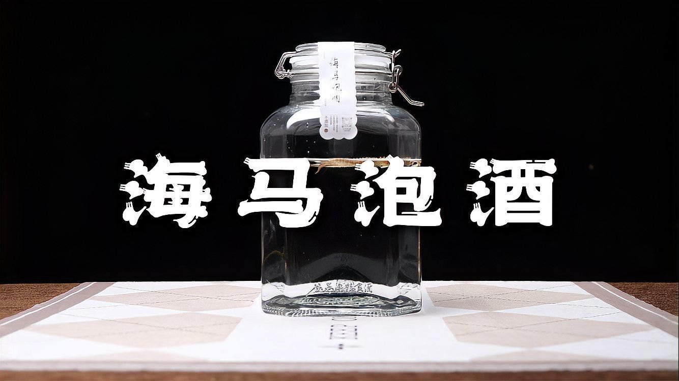 海龍和海馬如何搭配使用？