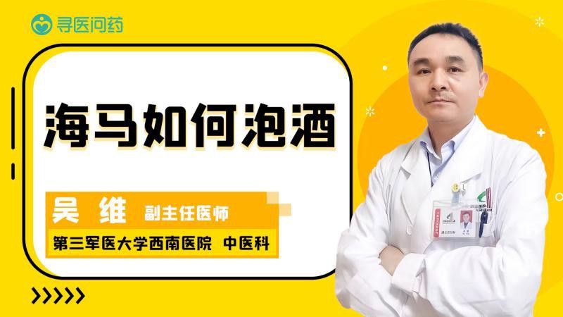 海龍和海馬如何搭配使用？