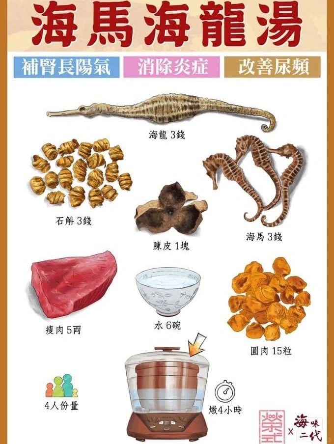 海龍和海馬如何搭配使用？