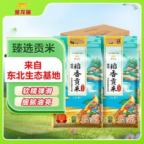批發金龍魚