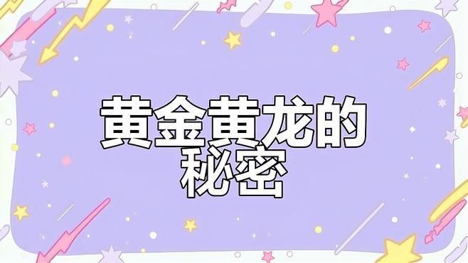 赤瞳黃龍魚