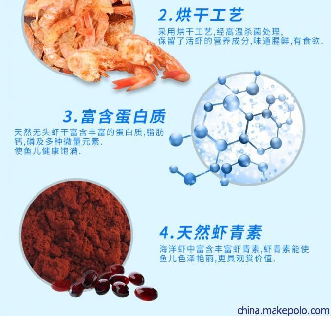 龍魚魚食怎么消毒最好