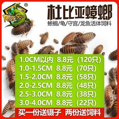 龍魚專用飼料配方比例是多少:理想的龍魚專用飼料配方比例應(yīng)該是蛋白質(zhì)占40-50% 龍魚百科 第3張 龍魚專用飼料配方比例是多少:理想的龍魚專用飼料配方比例應(yīng)該是蛋白質(zhì)占40-50% 龍魚專用飼料配方比例是多少:理想的龍魚專用飼料配方比例應(yīng)該是蛋白質(zhì)占40-50% 龍魚百科 第3張