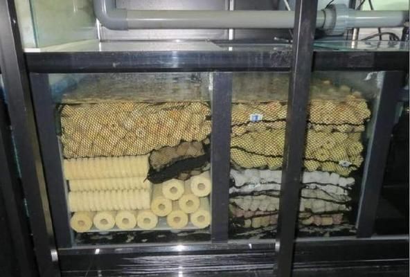 好魚缸不用換水嗎視頻講解下載，