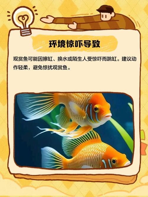 龍魚(yú)跳缸還能活嗎圖片大全 龍魚(yú)跳缸還能活嗎圖片大全 龍魚(yú)百科 第21張